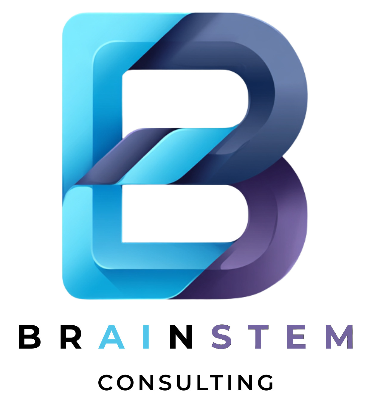 Brain Stem Consulting Logo